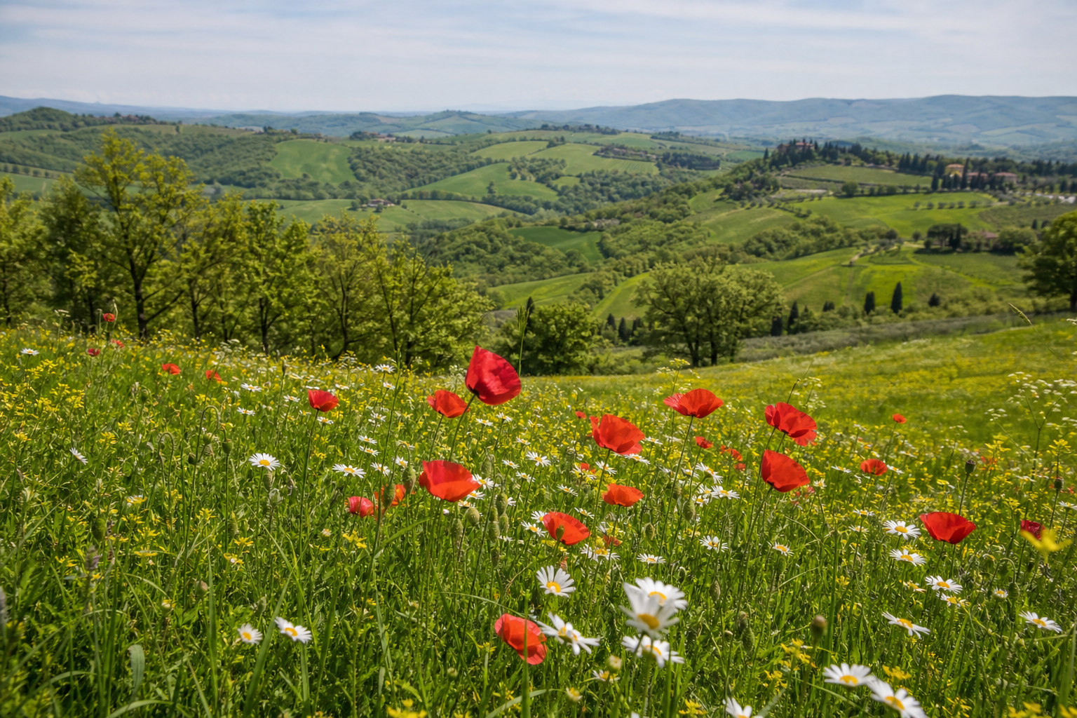 La primavera in Toscana: perché aprile e maggio sono magici