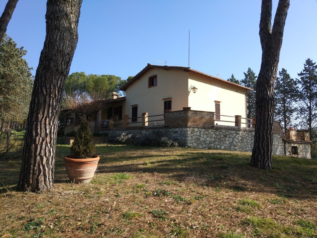 Esterno di Villa Talciona con pini che incorniciano la casa, giardino sicuro e ambiente adatto alle famiglie nel Chianti