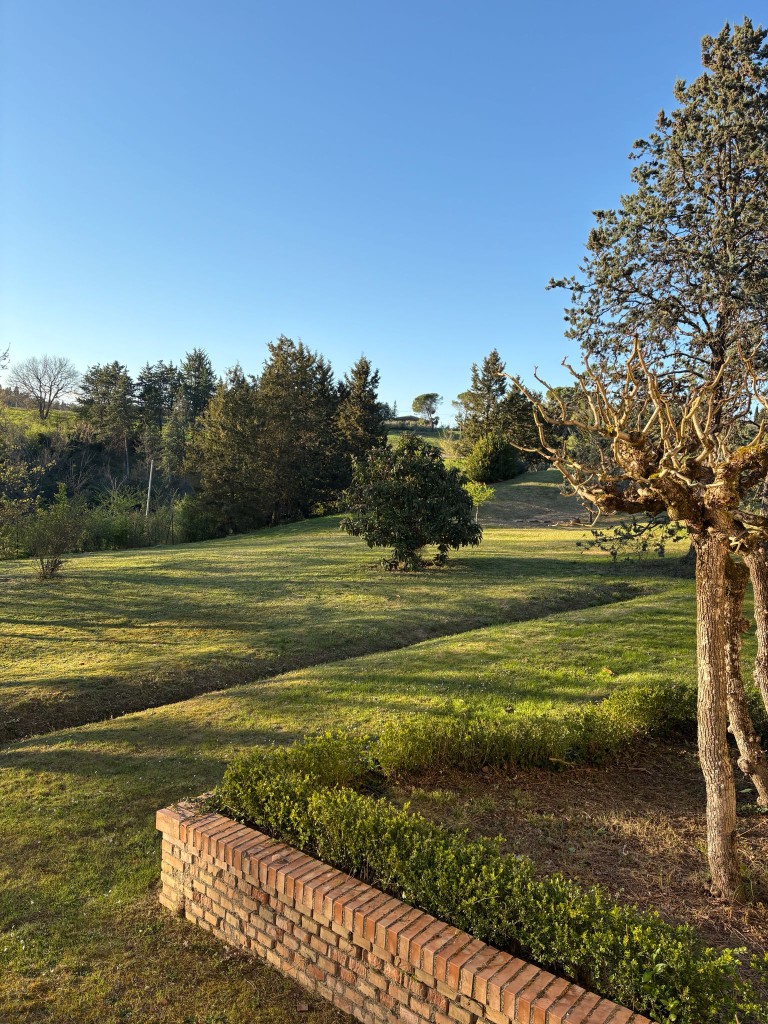 Colline verdi ondulate e prato curato a Villa Talciona, Chianti Toscana