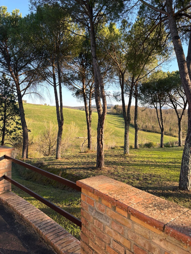 Vista dalla terrazza tra i pini sulla campagna del Chianti a Villa Talciona